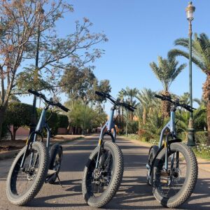 Visite de Marrakech en trottinette avec Hammam et massage dans notre SPA