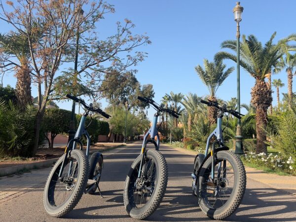 Visite de Marrakech en trottinette avec Hammam et massage dans notre SPA